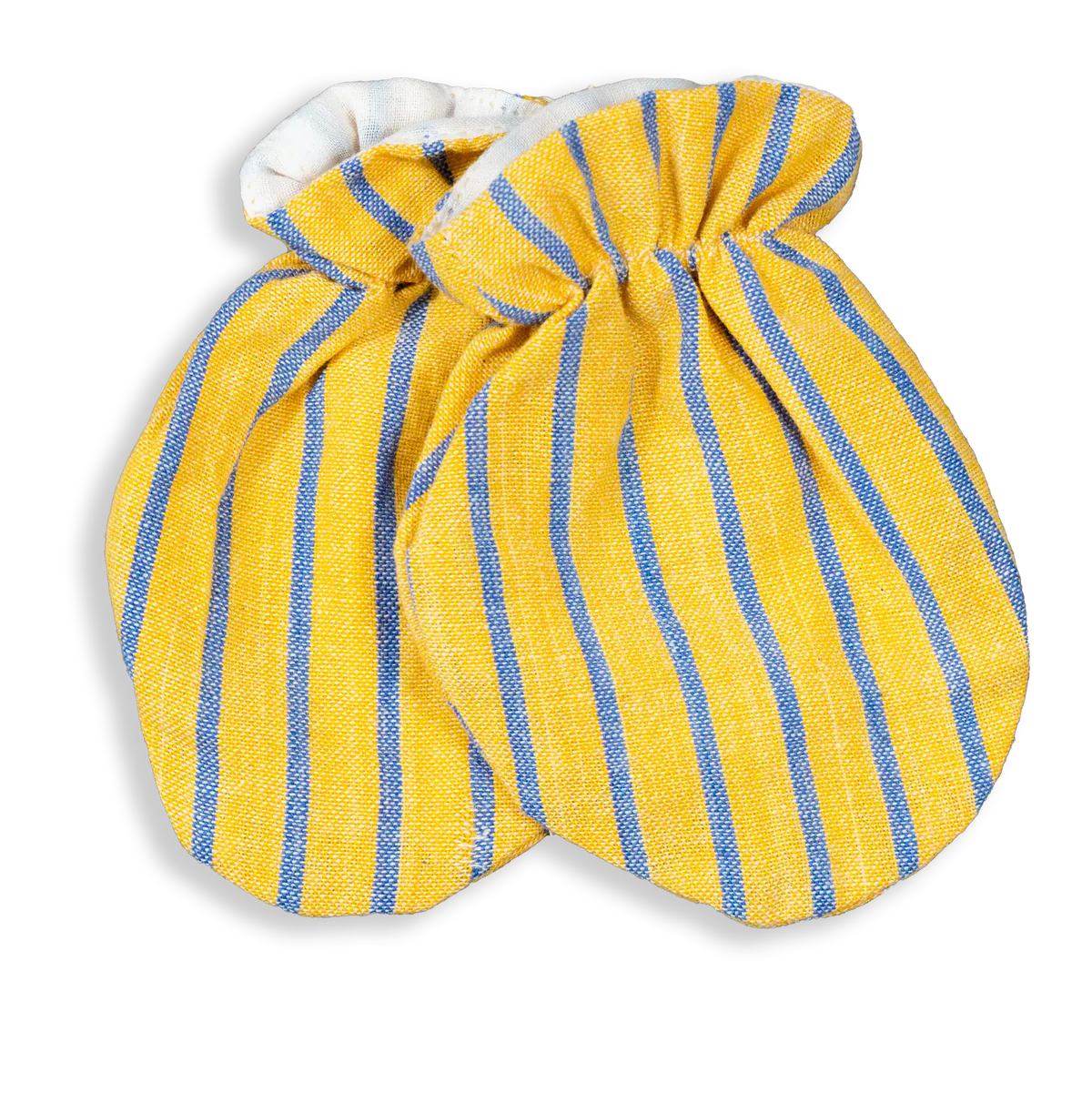 Primula - Himalayan Collection set