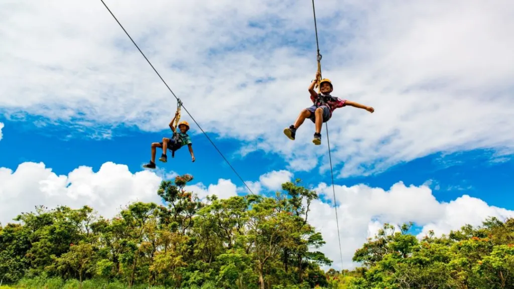 Adventure Zipline Experience