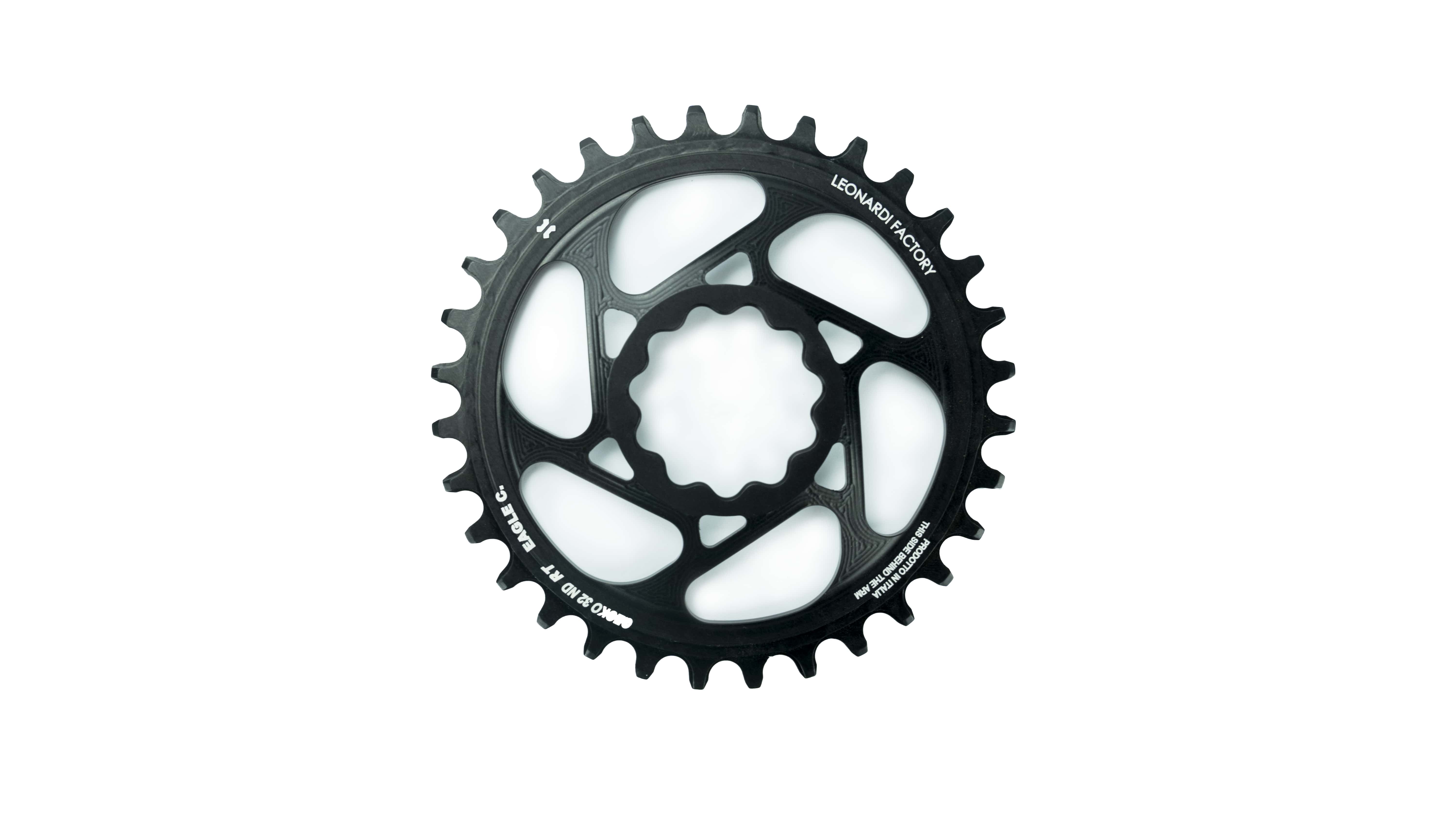 PLATO GECKO ROTOR REX