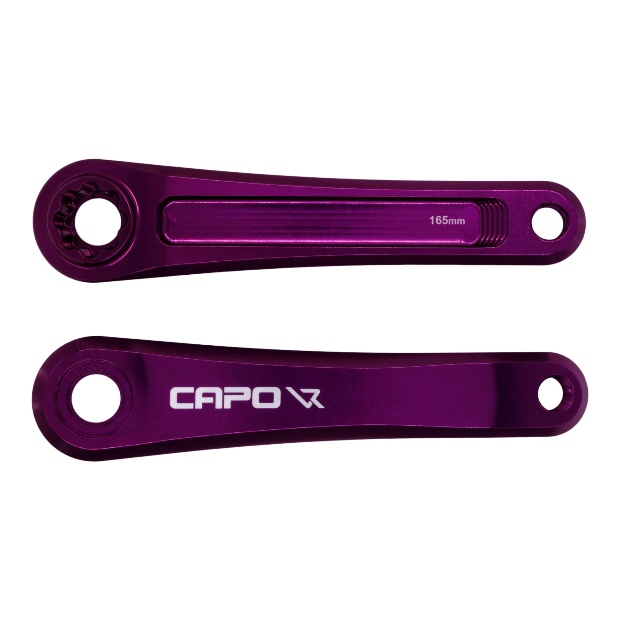 Biela Capo 3 Leonardi Violeta