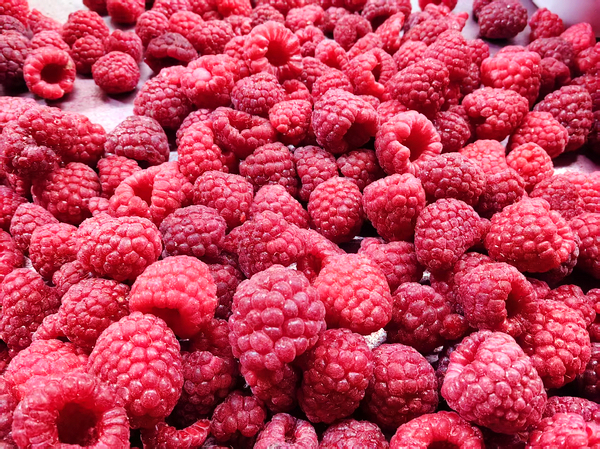 Fresh raspberries
