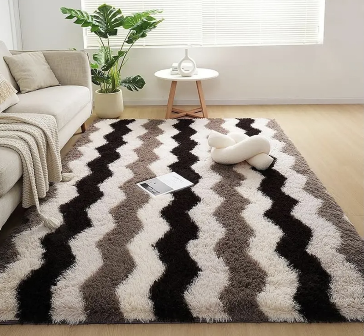Modern Shaggy Area Rug