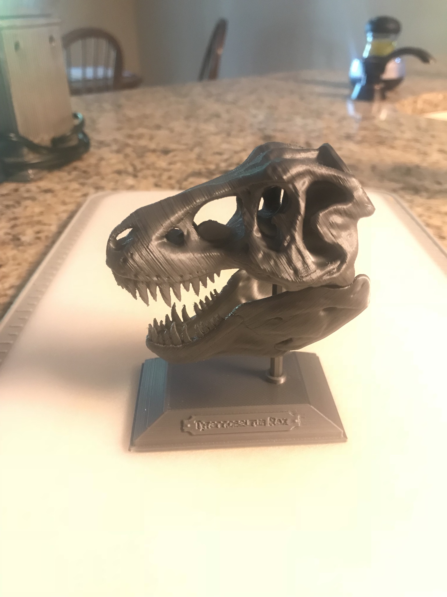 Tyrannosaurus Rex Skull Replica