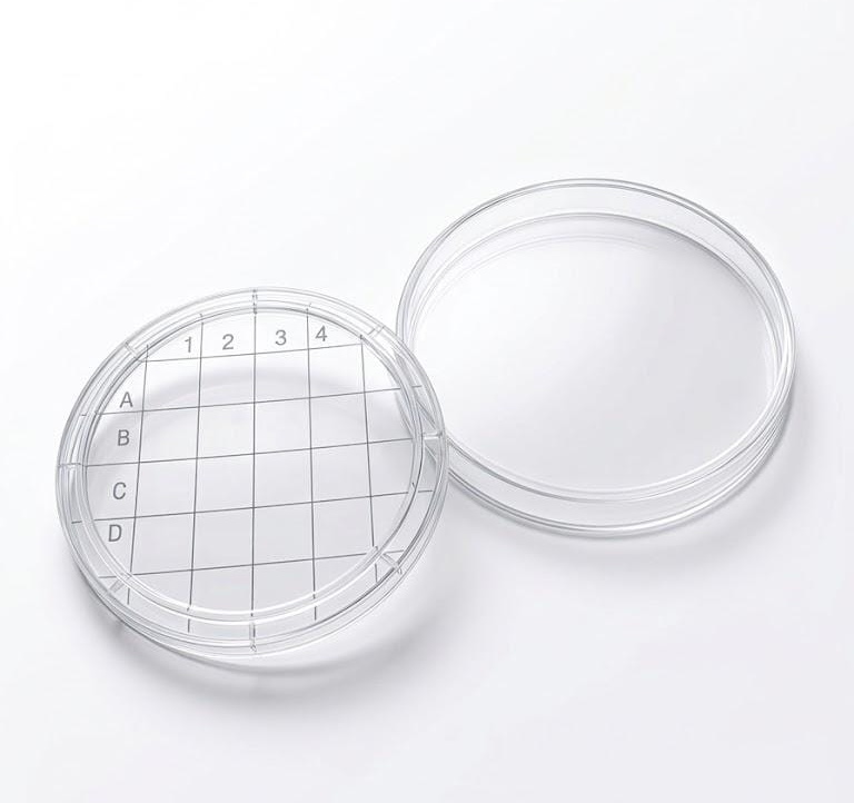 RODAC Plate (Replicate Organism Detection and Counting Plate)