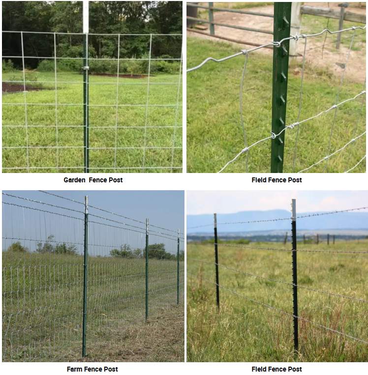 T-Post Heavy-Duty Galvanized Metal Tee Post - Studded Fence Poles for Farms, Security & Outdoor Enclosures (5ft-10ft)