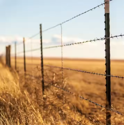 Y-Post Green Metal Fence PostAmerican Steel 6-Foot Galvanized Studded T Post - Green Powder-Coated Garden Trellis for Farm Fencing, Border & Driveway | Easy Assembly