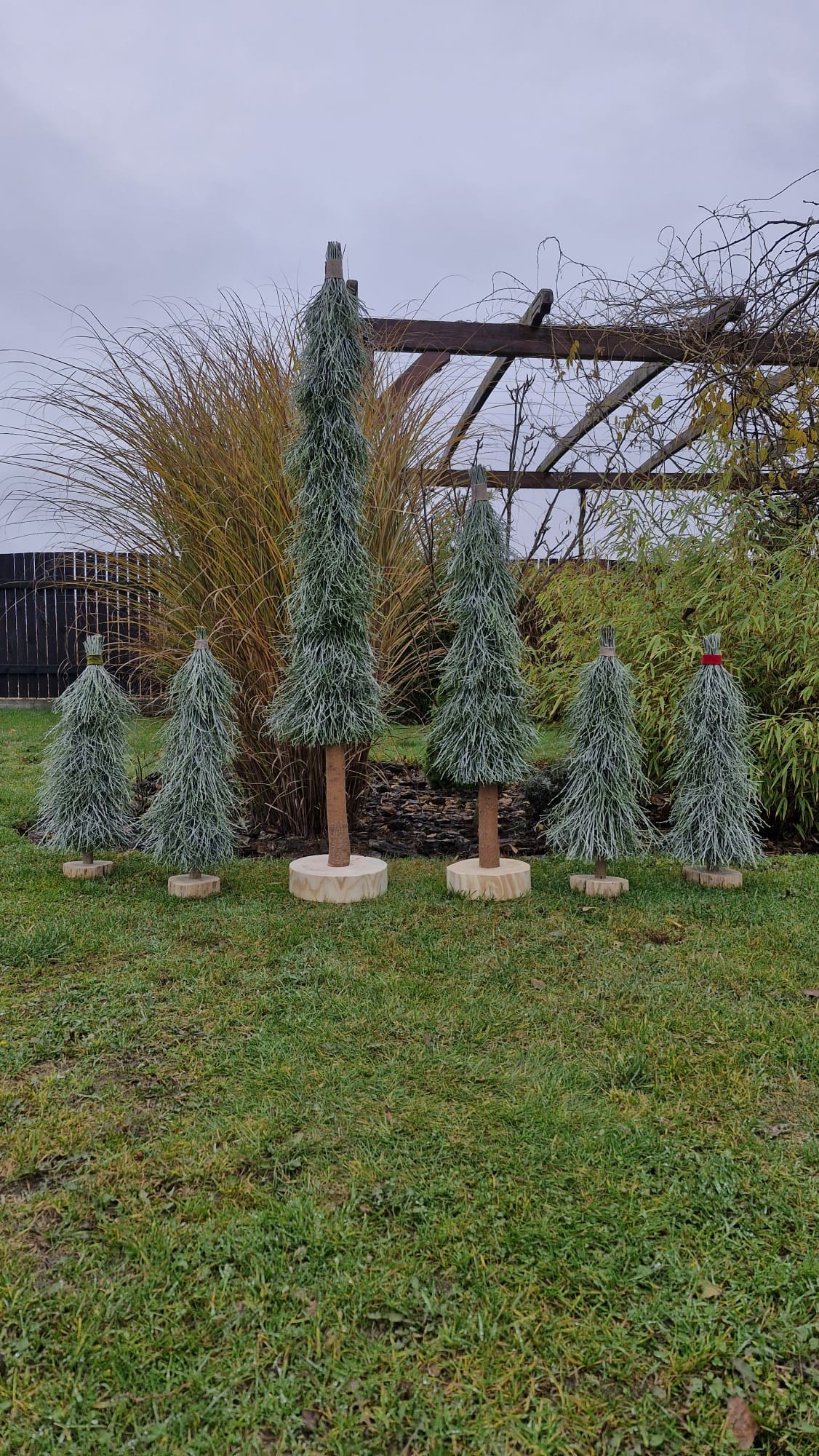 Choinki świąteczne z naturalnych gałązek