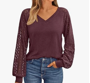 Women's Lace Sleeve V-Neck Top