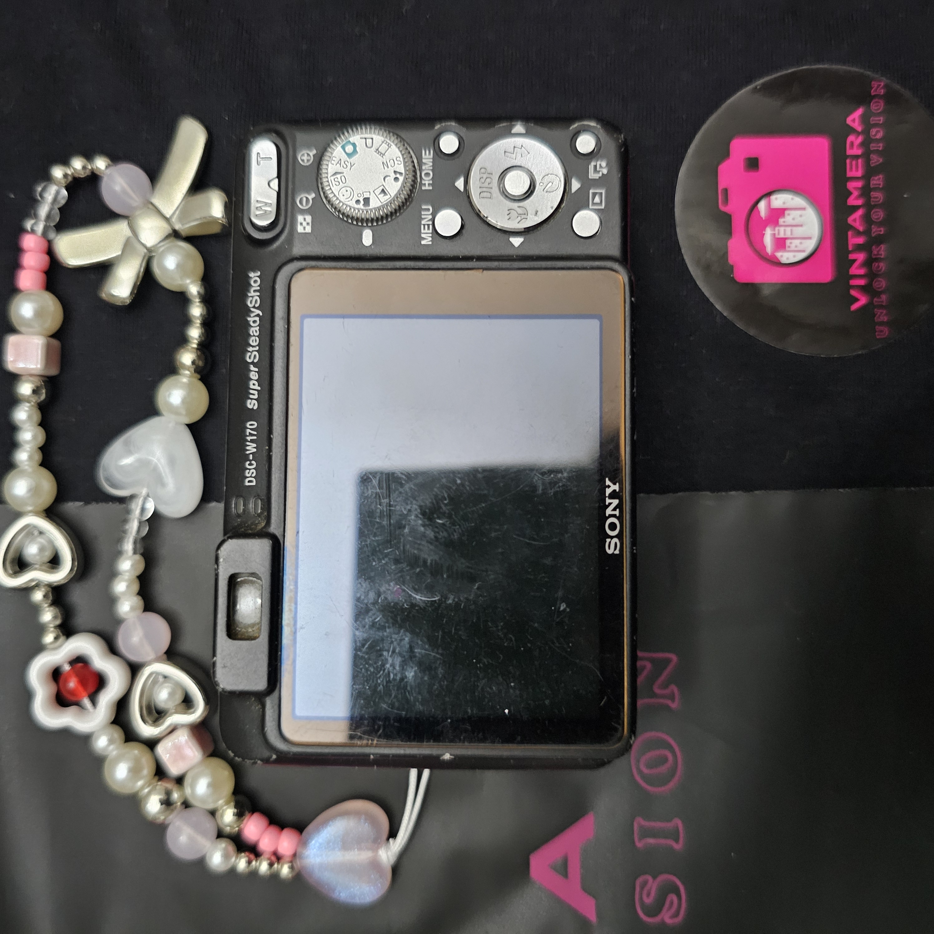 Sony steadyshot w170