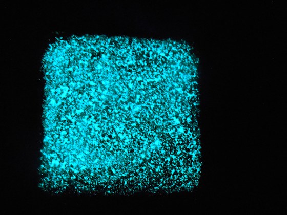 Pigment phosphorescent bleu