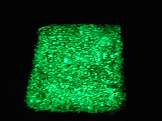 Pigment phosphorescent vert