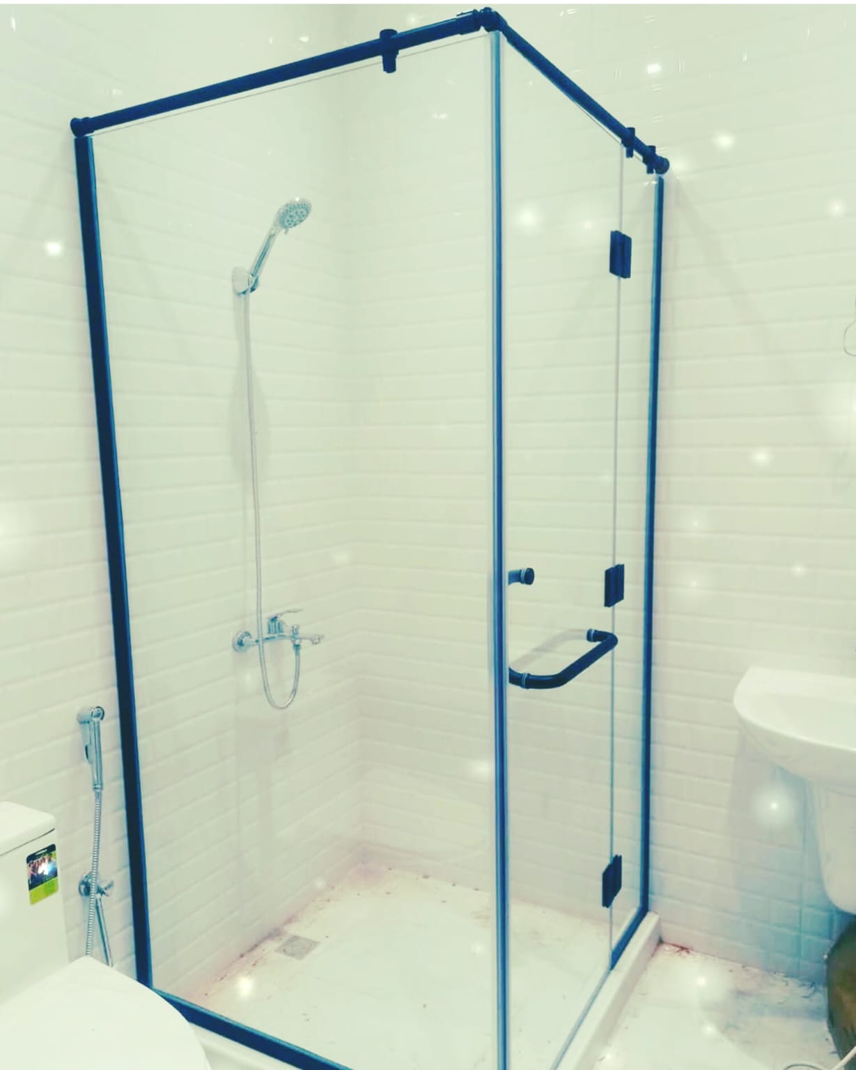 Glass Shower Enclosure