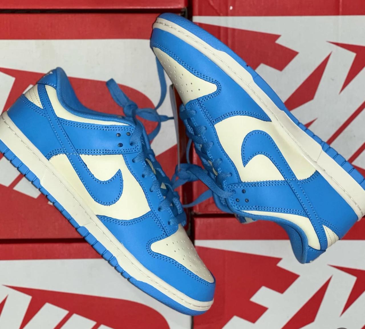 Tênis Nike Dunk Low Azul
