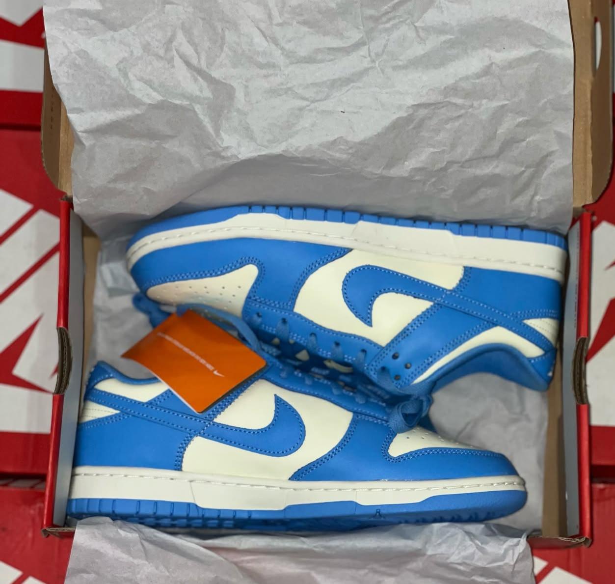 Tênis Nike Dunk Low Azul