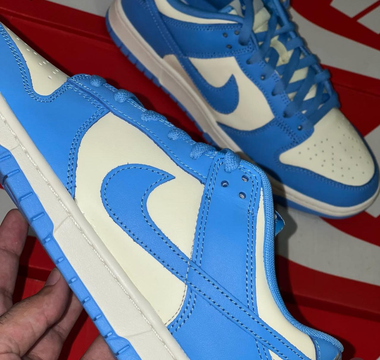 Tênis Nike Dunk Low Azul