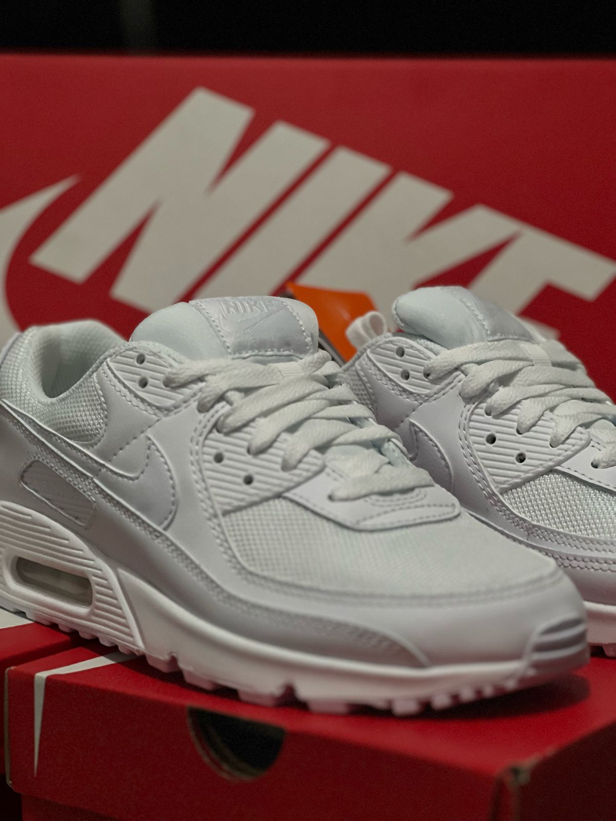 Tênis Nike Air Max 90 