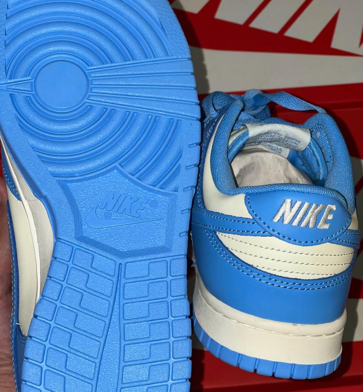 Tênis Nike Dunk Low Azul