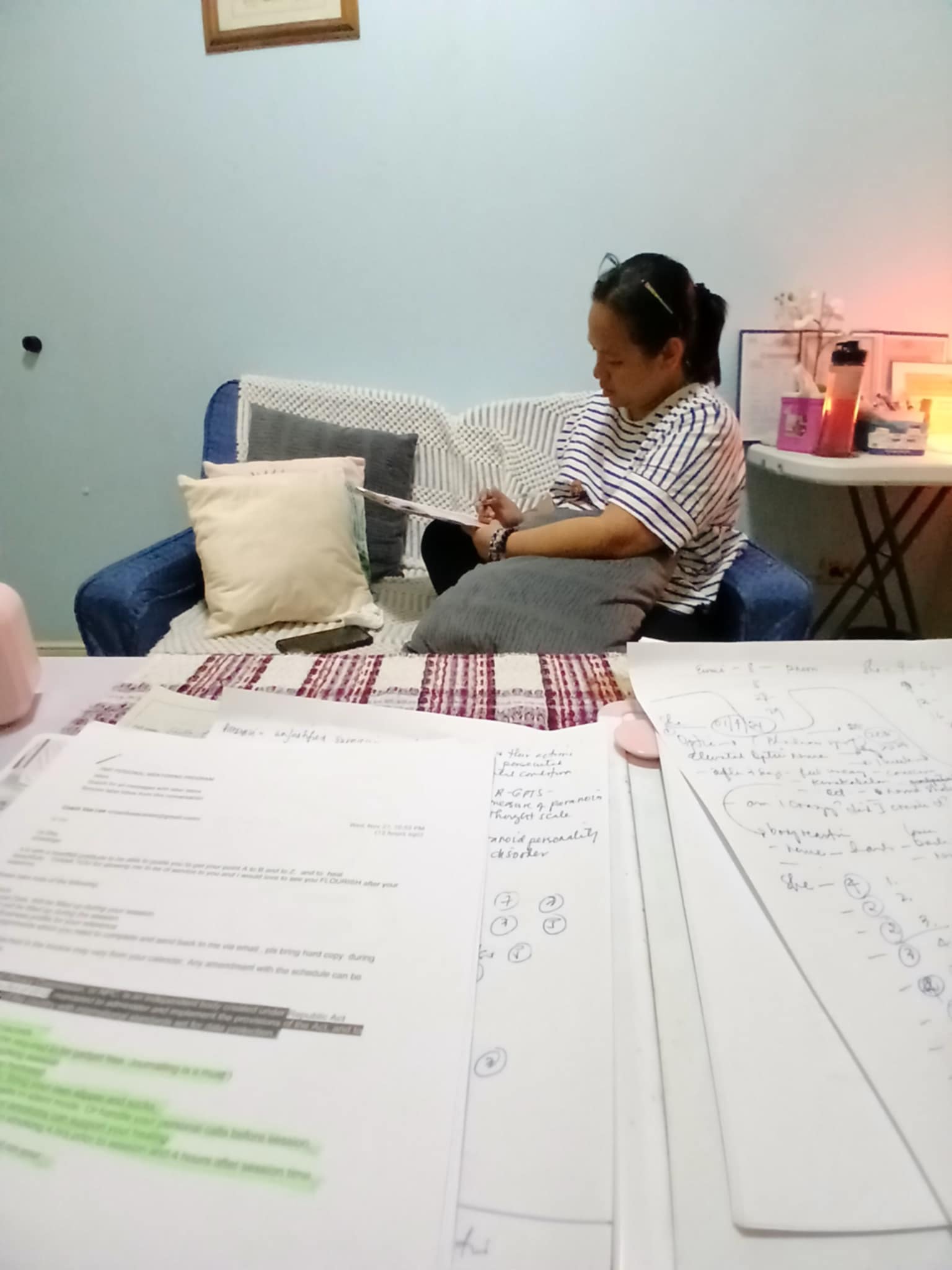 PMP Personal Mentoring Program