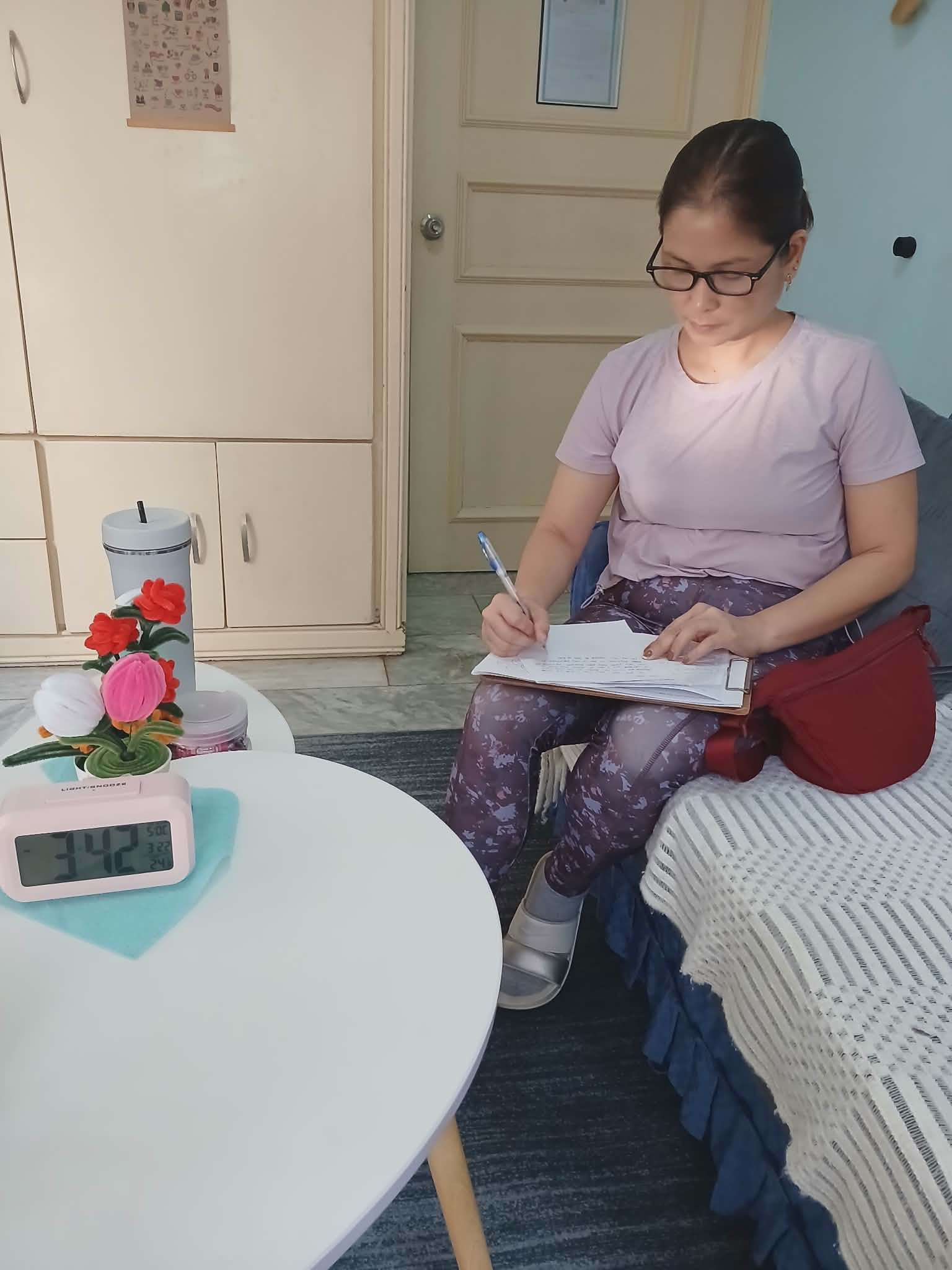 PMP Personal Mentoring Program