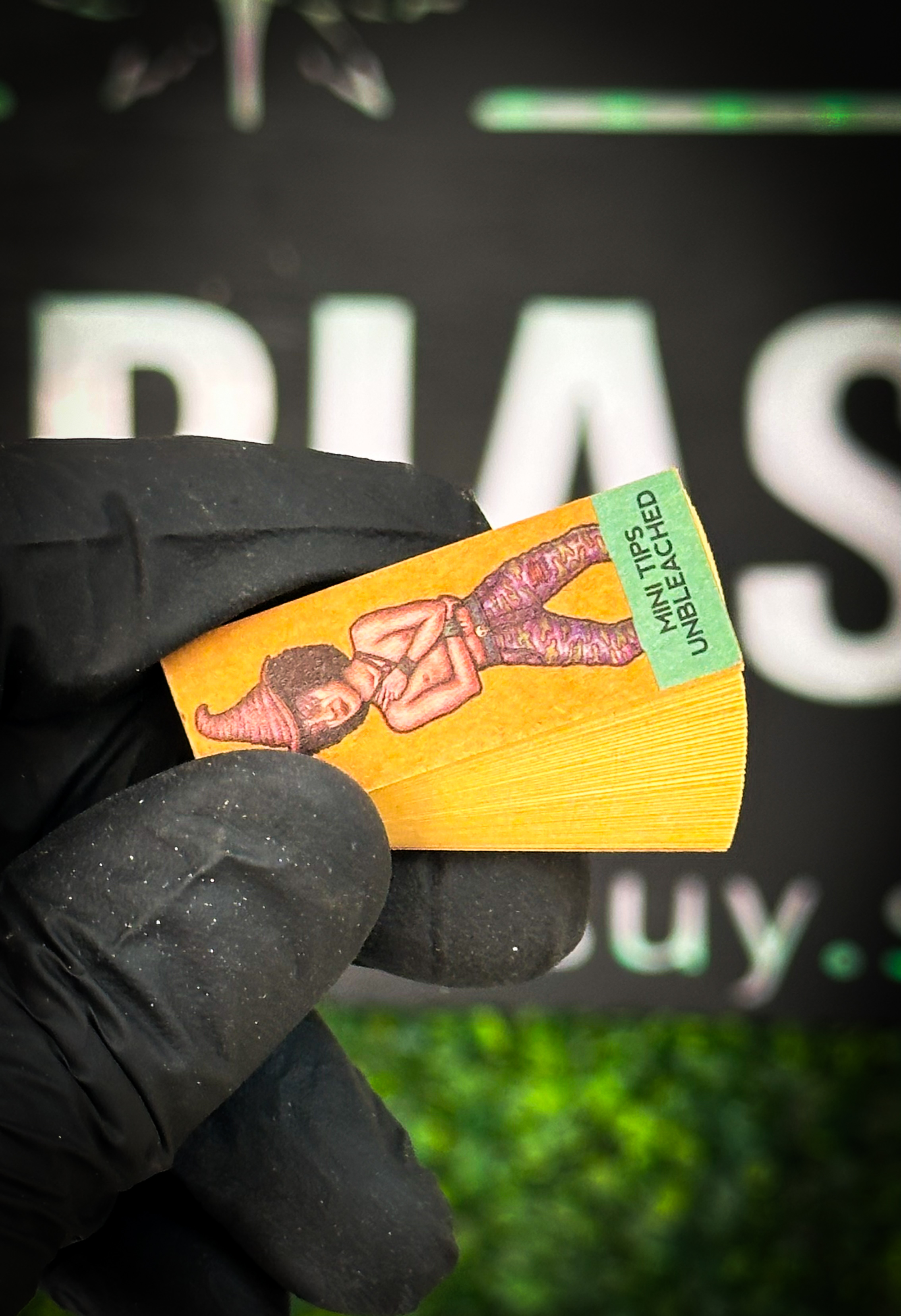 Tips Brown Lion Rolling Circus