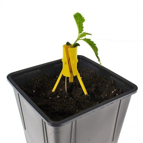 Soporte medusa para plántulas