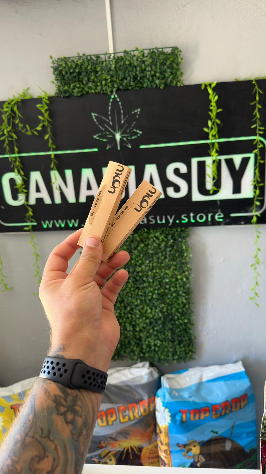 Hojillas C/ Tips Moon