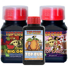 Budpack Top Crop (Floración)