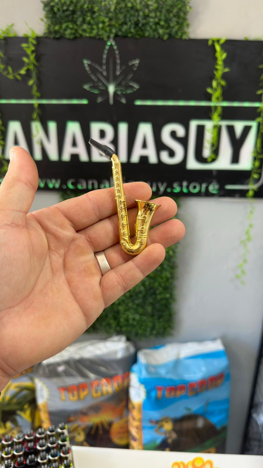 Pipa de saxofón dorado