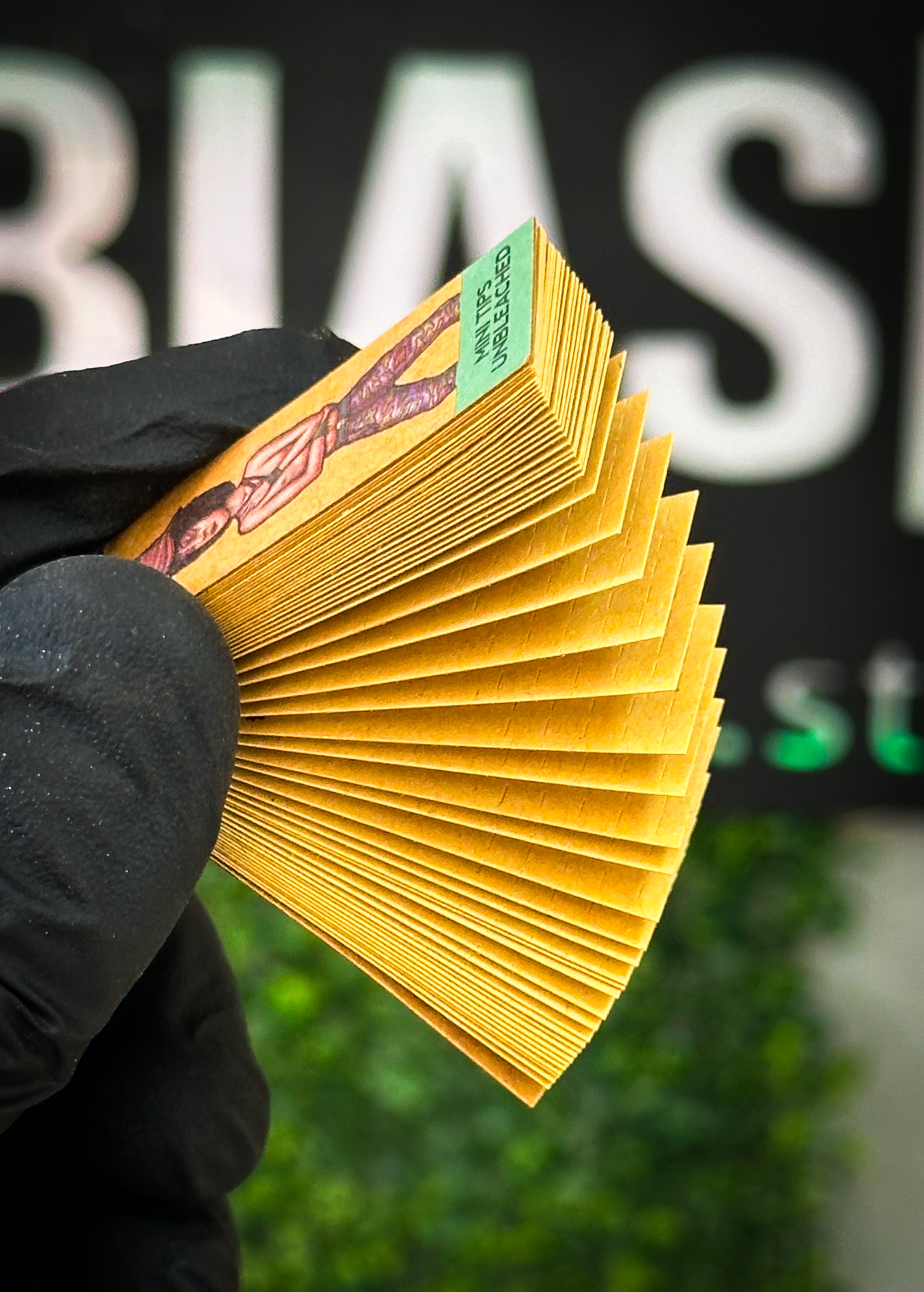 Tips Brown Lion Rolling Circus