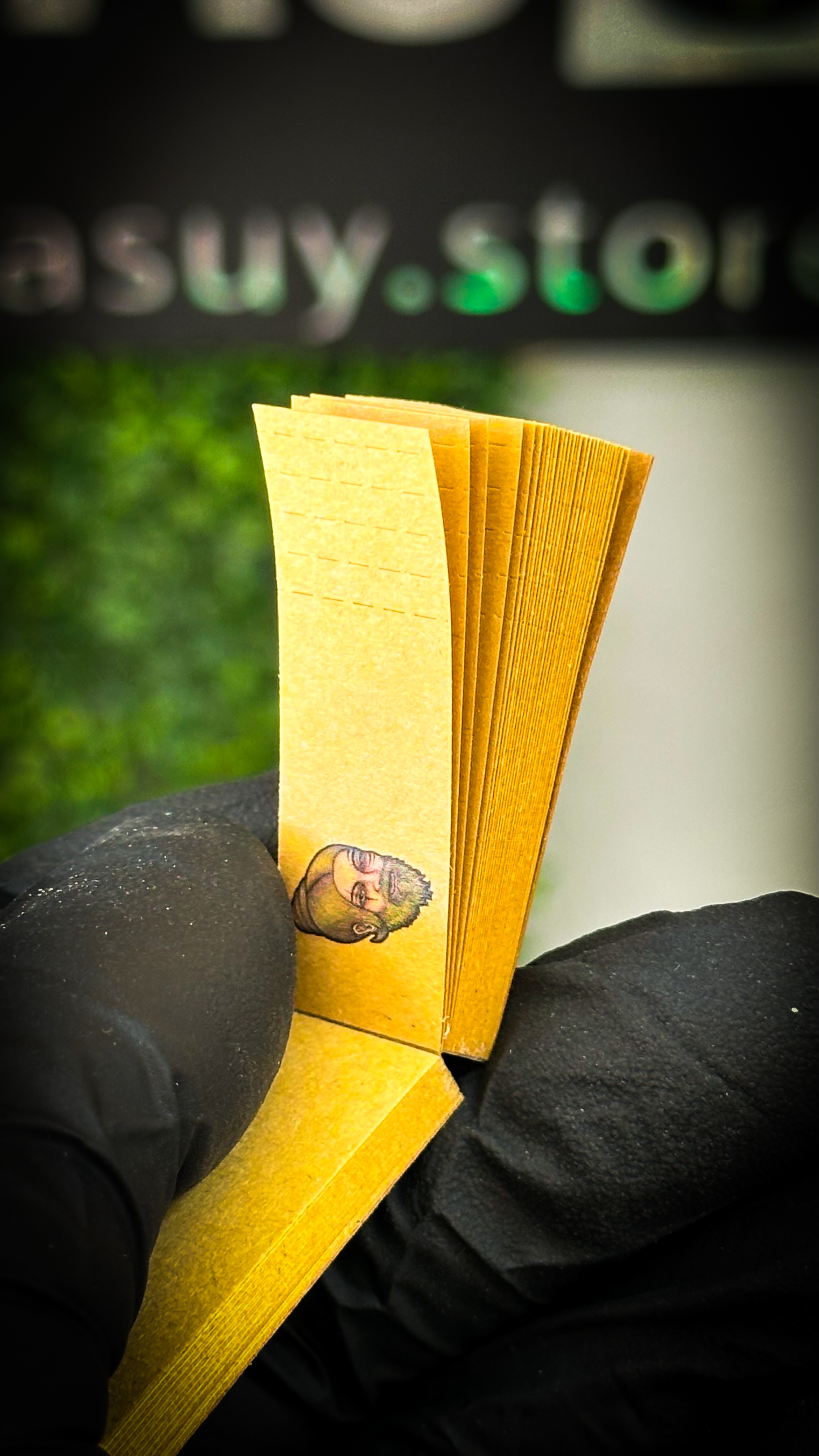 Tips Brown Lion Rolling Circus