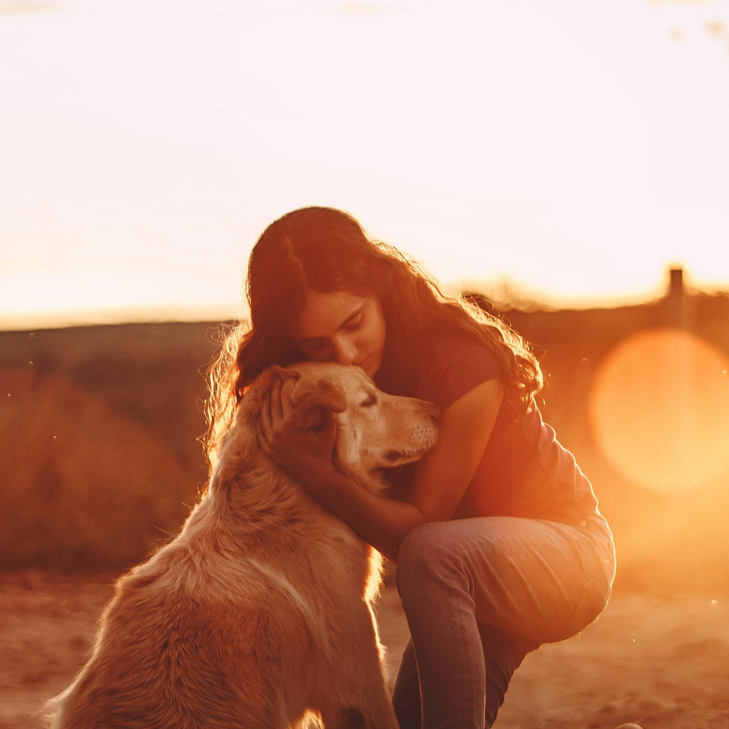 Communication animale défunt