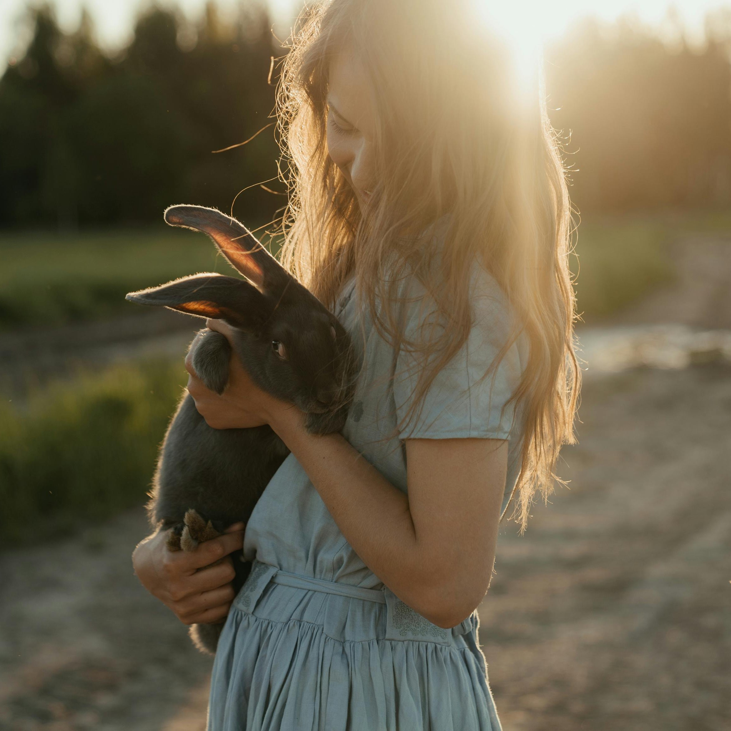 Communication animale urgente