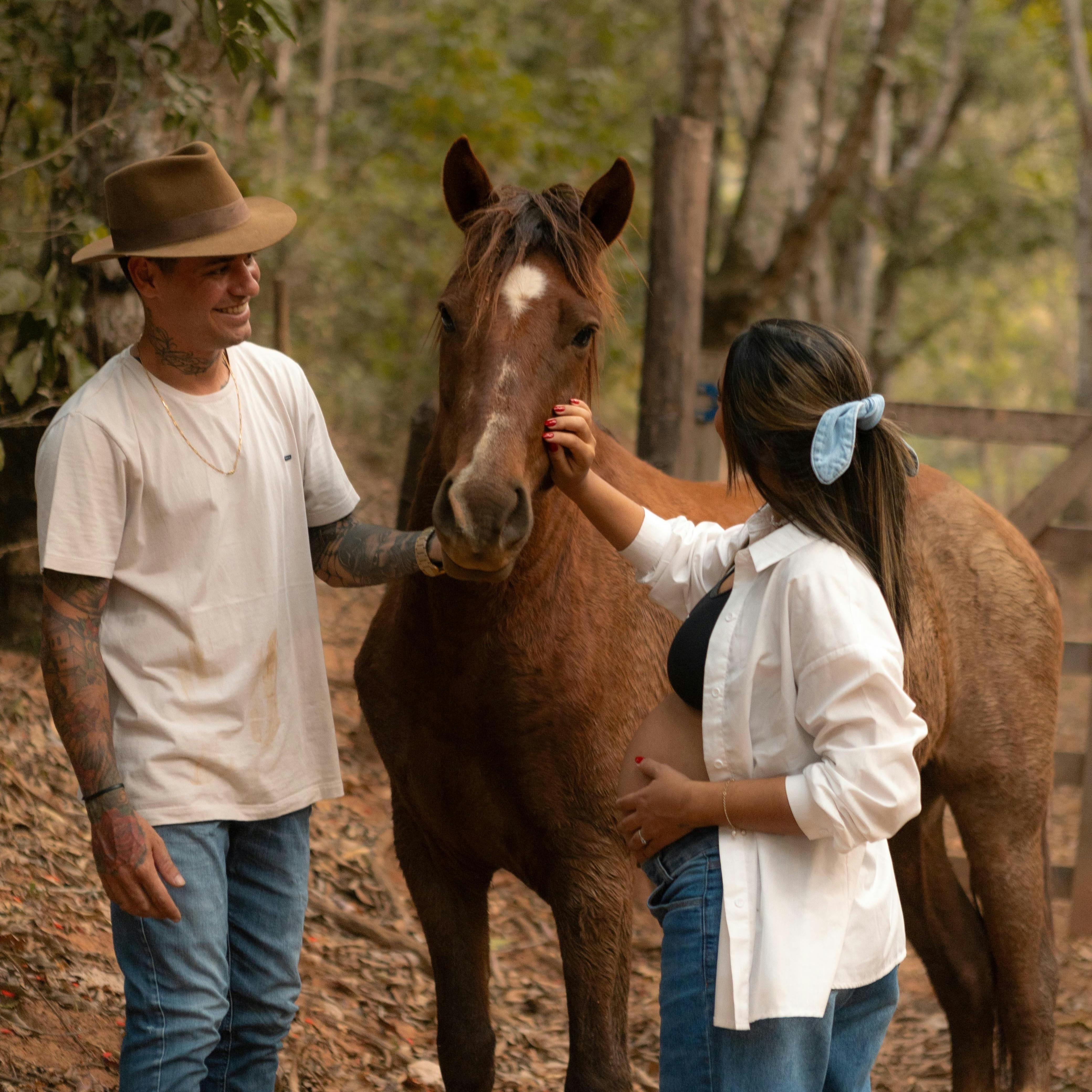 Communication animale message