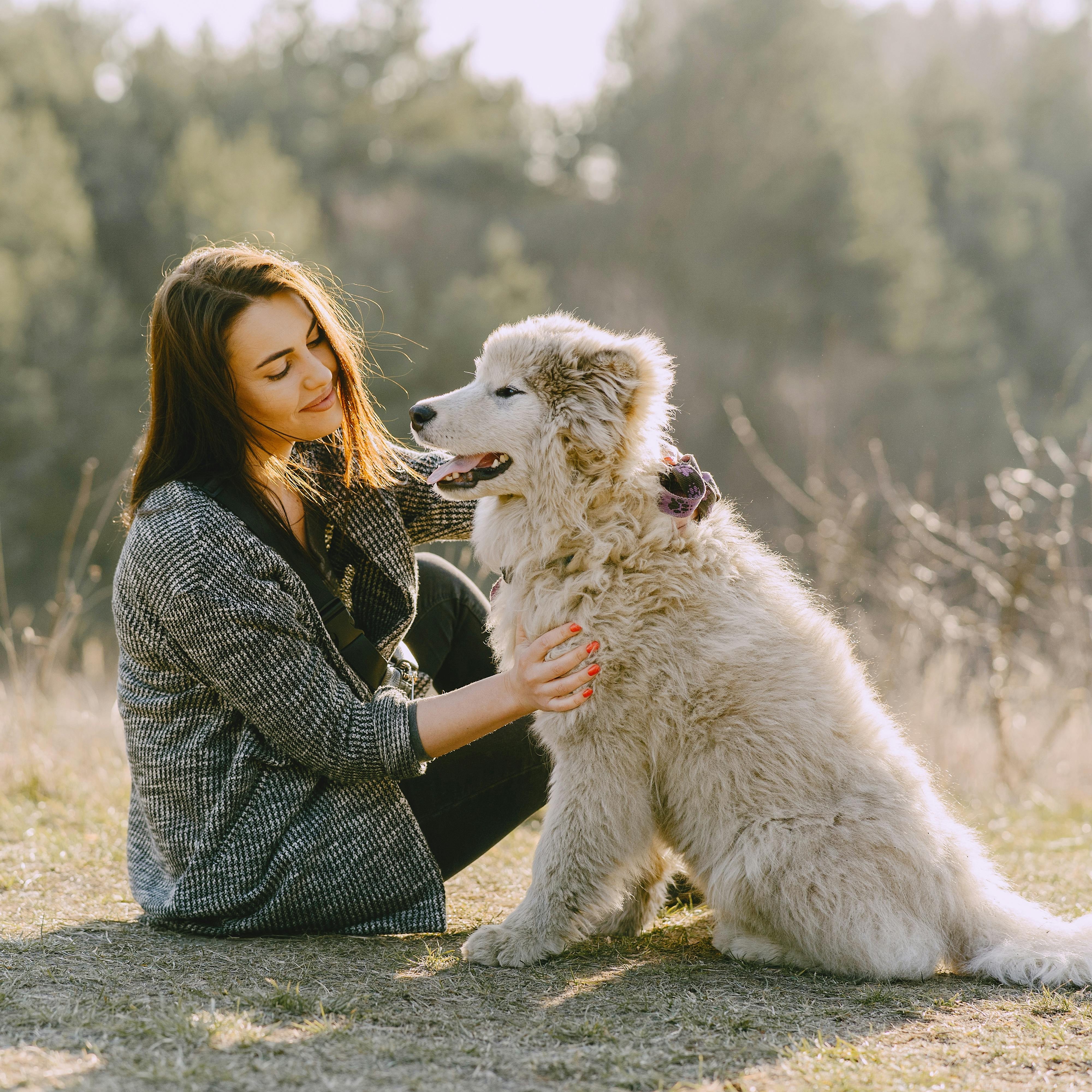 Communication animale complète