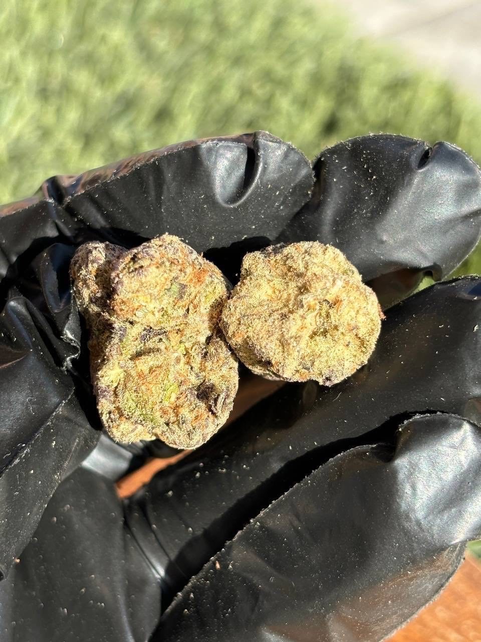 Californienne 🇺🇸