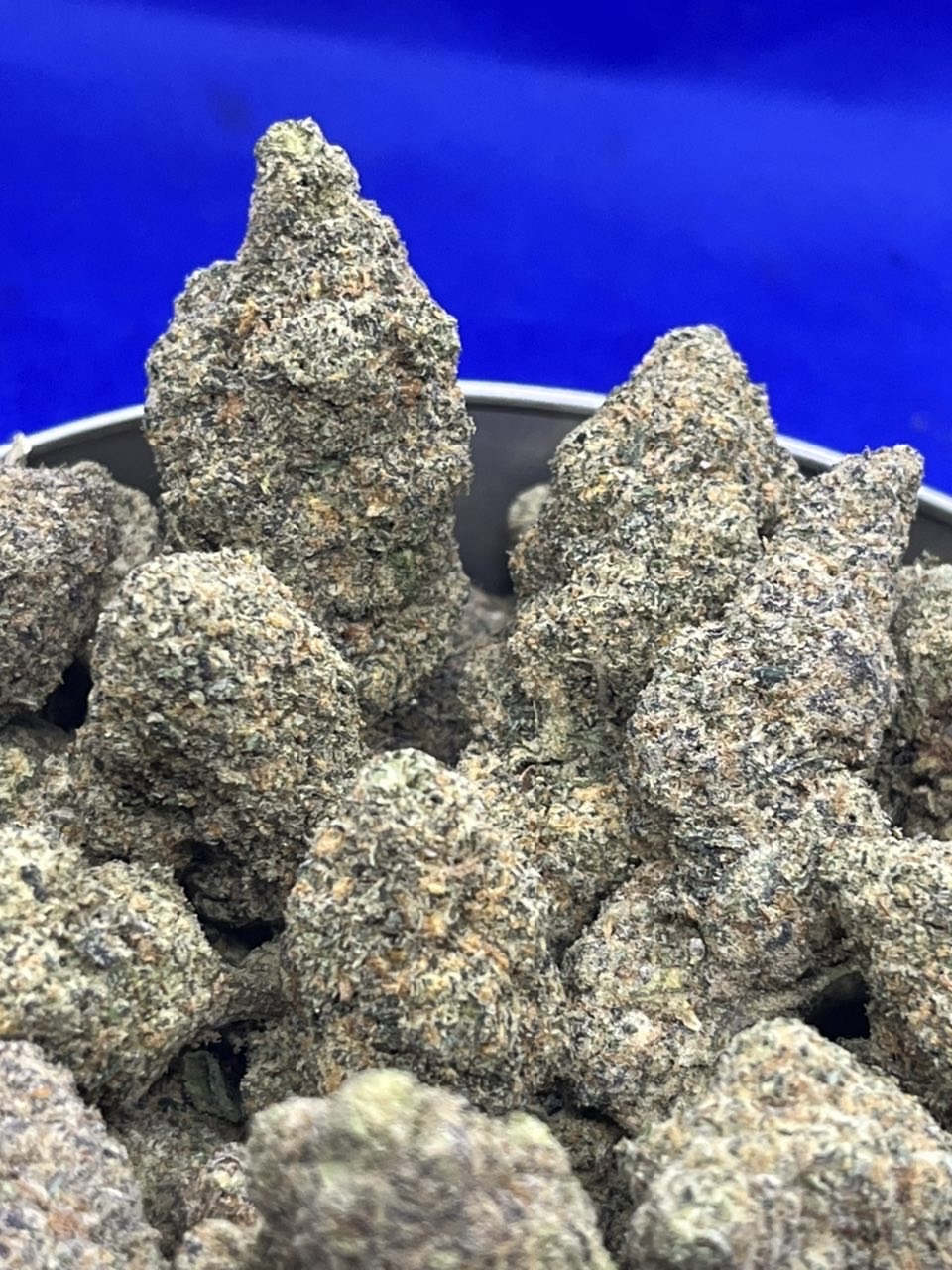 Rainbow welt 🌈✨