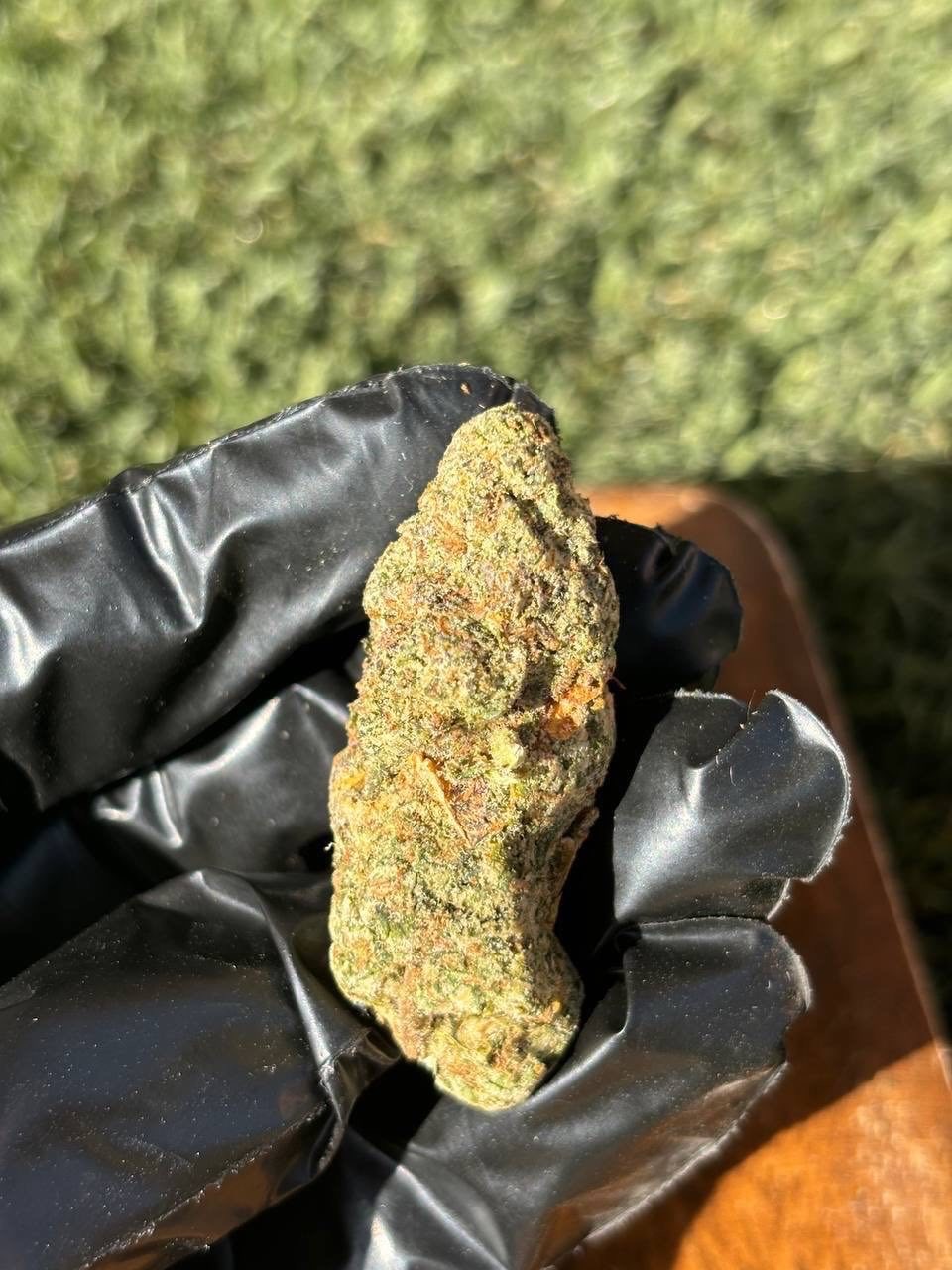 Californienne 🇺🇸