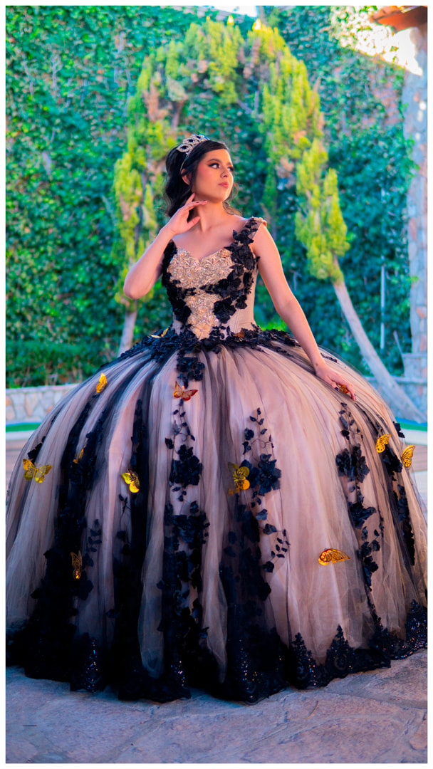 Elegant Ball Gown Dress