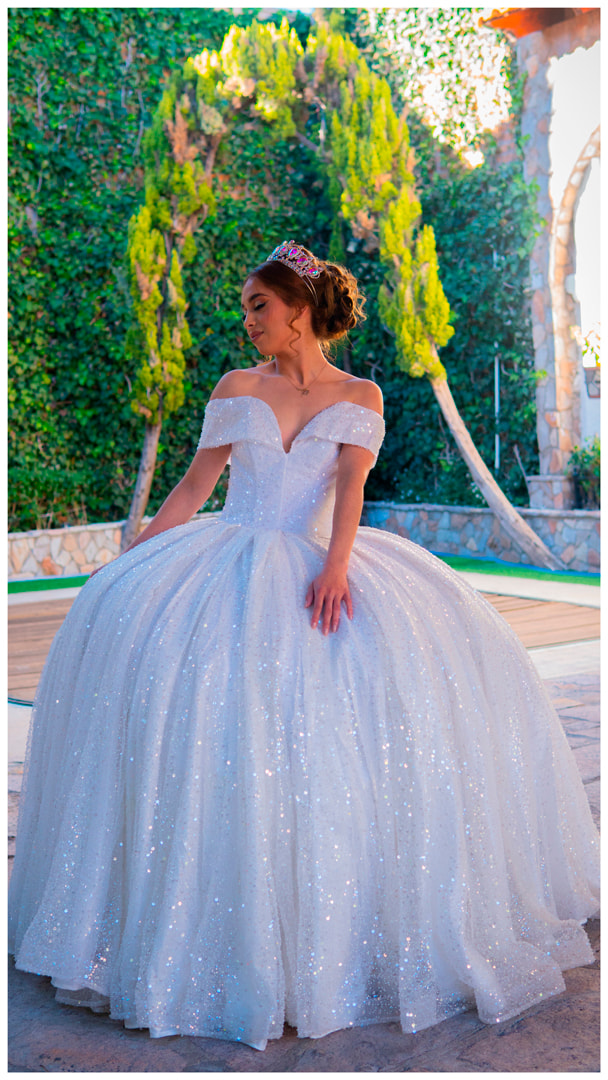 Elegant Ball Gown Quinceañera Dress