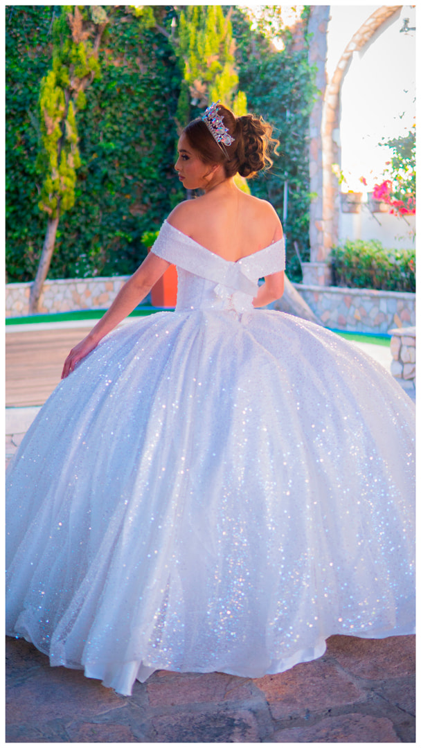 Elegant Ball Gown Quinceañera Dress
