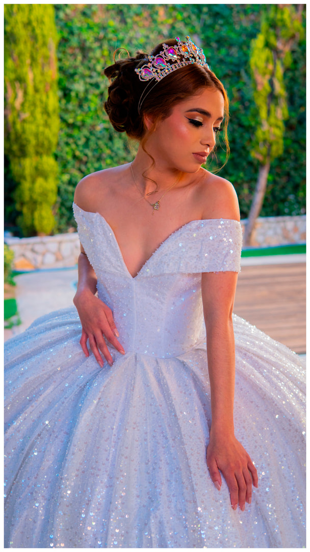 Elegant Ball Gown Quinceañera Dress