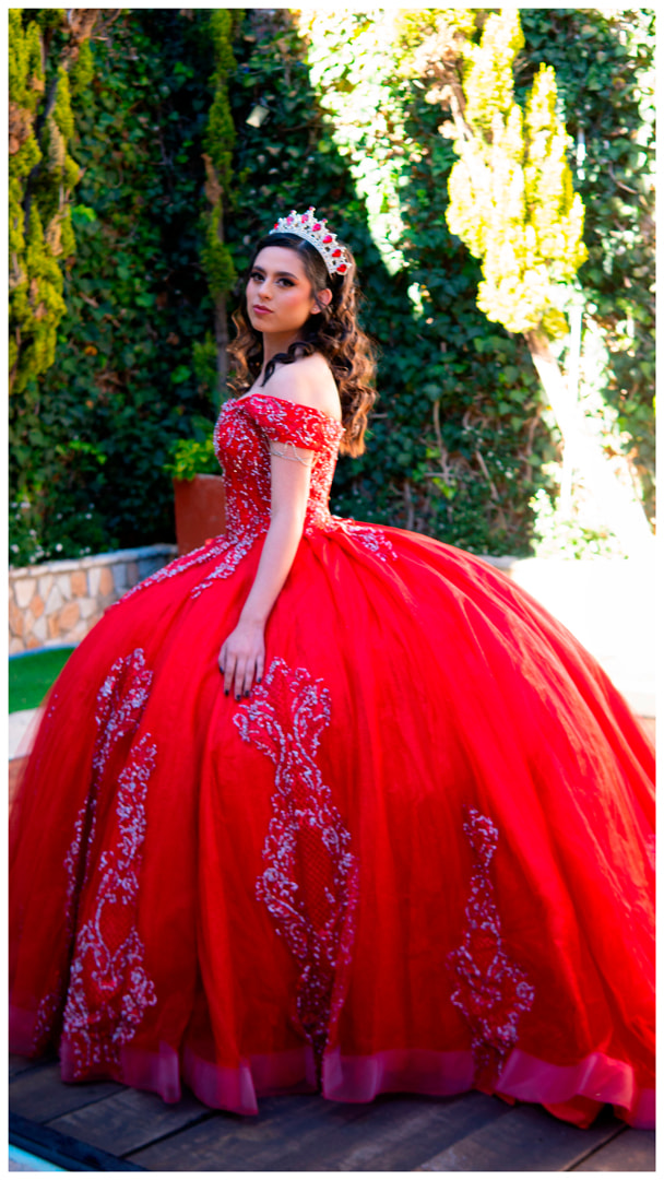 Elegant Red Ball Gown