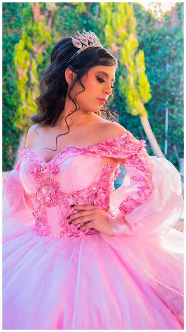 Vestido XV Anastasia