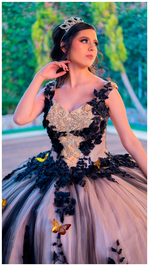 Elegant Ball Gown Dress