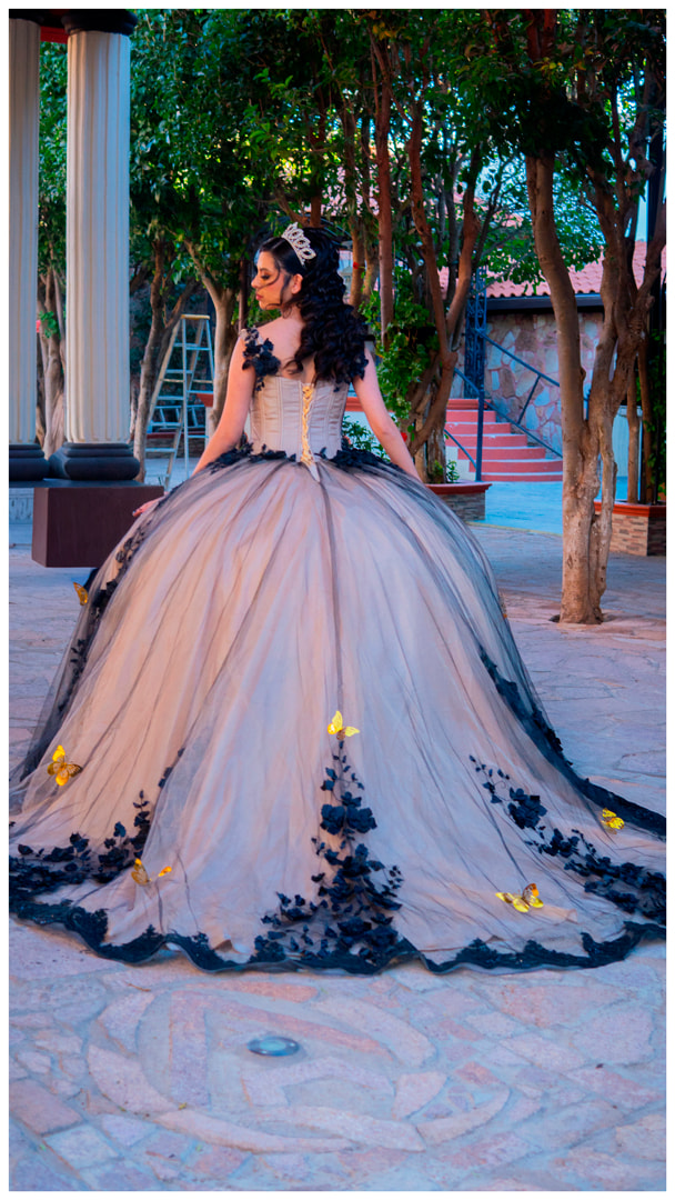 Elegant Ball Gown Dress
