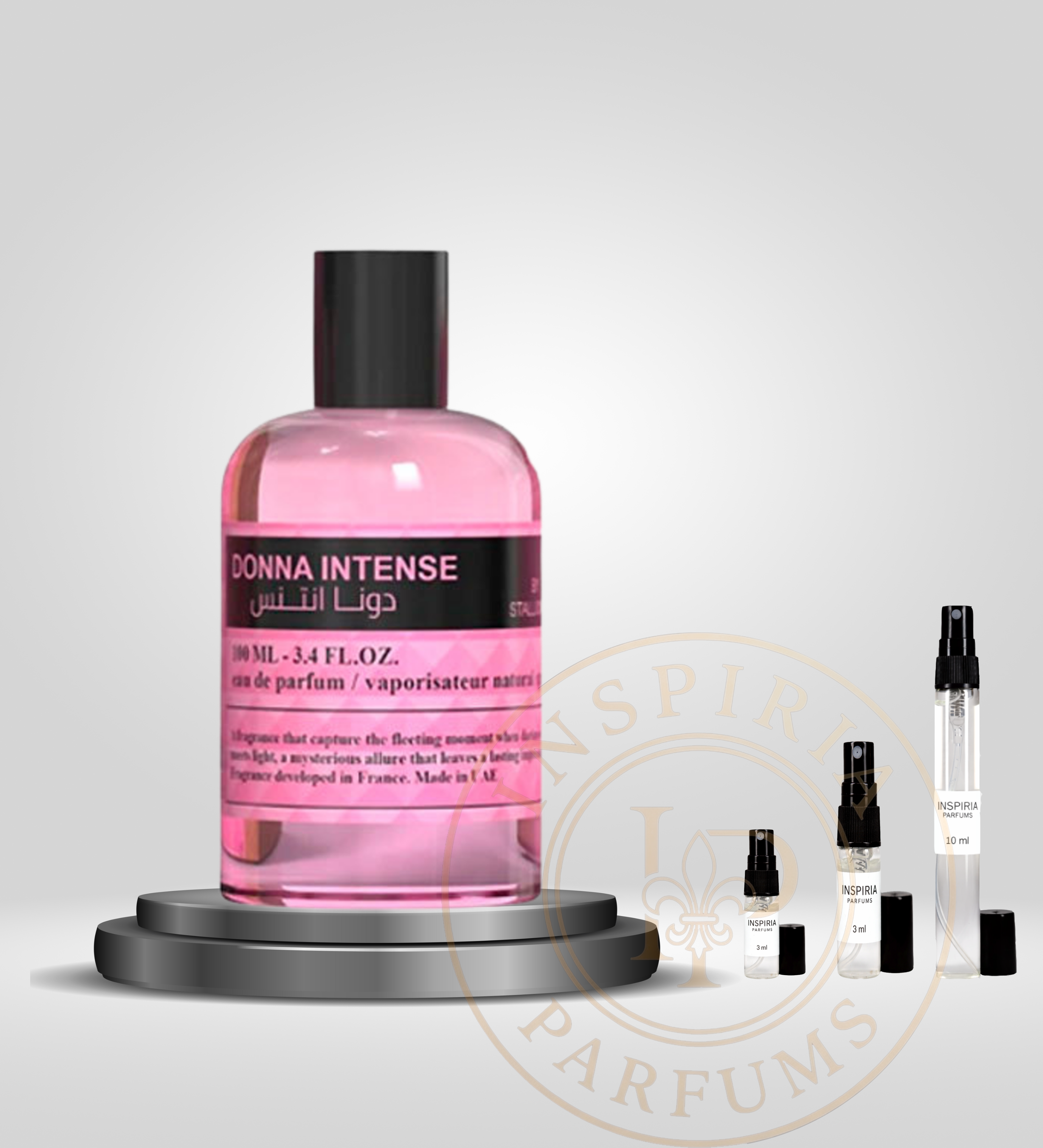 Stallion 53 Donna Intense 