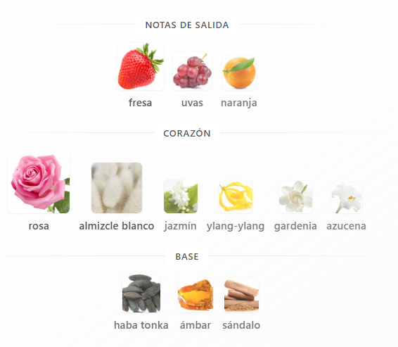 Ameerat Al Arab Prive Rose