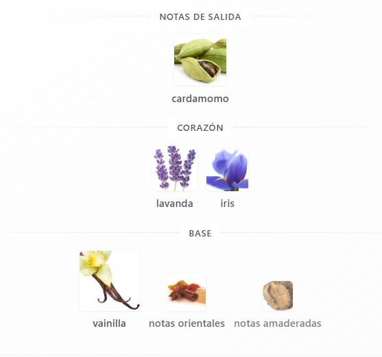 Le Male Le Parfum Jean Paul Gaultier