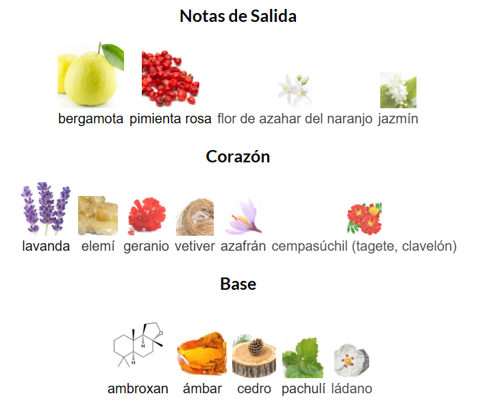 Club De Nuit Urban Man Elixir