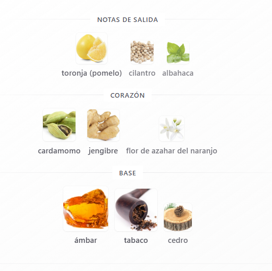 Dolce & Gabbana The One Eau de Parfum